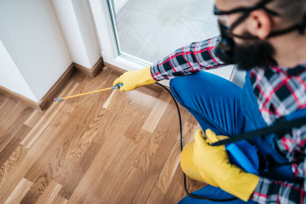 Real Estate Pest Inspections in Kingsford, MI